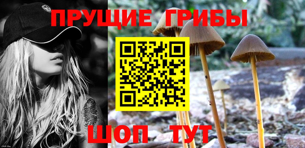Коряжма  Галлюциногенные грибы Cubensis  Вход с VPN 