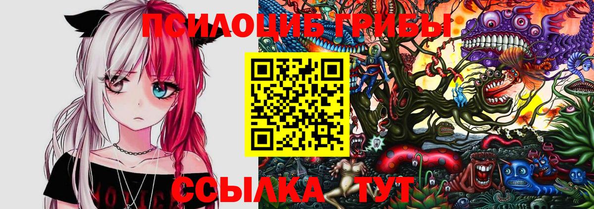 Галлюциногенные грибы мухоморы Коряжма